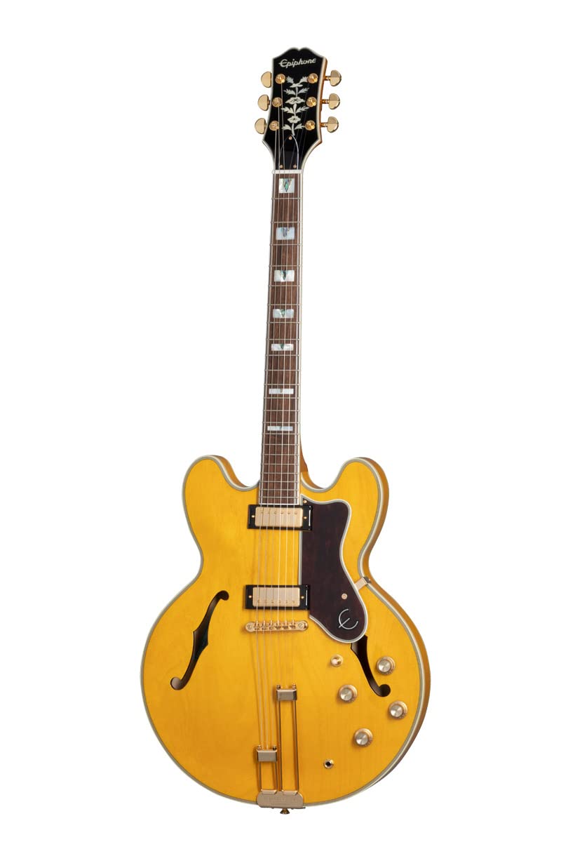 Epiphone　Sheraton II シェラトン Epiphone SHERATON-Ⅱ PRO入荷しました！｜島村楽器 イオン