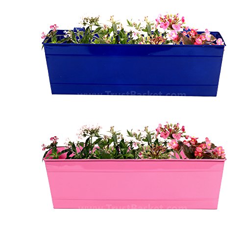 TrustBasket Set of 2 Rectangular Railing Planter - Blue and Magenta (18 Inch) | Heavy Duty Highly Durable Plant Container Gamla for Indoor Home Decor & Outdoor Balcony Garden (B01DVUQZOU) Amazon Price History, Amazon Price Tracker