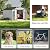 Patiowell 10 X 12 FT Barn Style Metal Storage Shed for Outdoor, Steel Yard Shed with Design of Lockable Doors, Utility and Tool Storage for Garden, Backyard, Patio, Outside Use