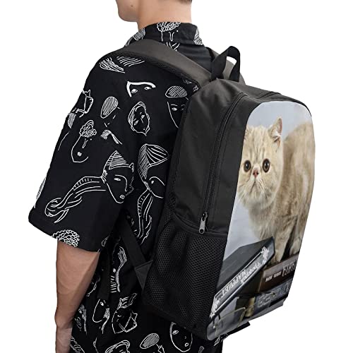 Sac d'école pour enfants 17 pouces avec imprimé chat 3D