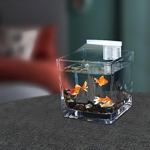 Small Square Fish Bowl Aquarium - Desktop Eco-Friendly Micro Landscape for Office & Guest Room Decor - Glass Teacup Design Fish Tank Ornaments (L)