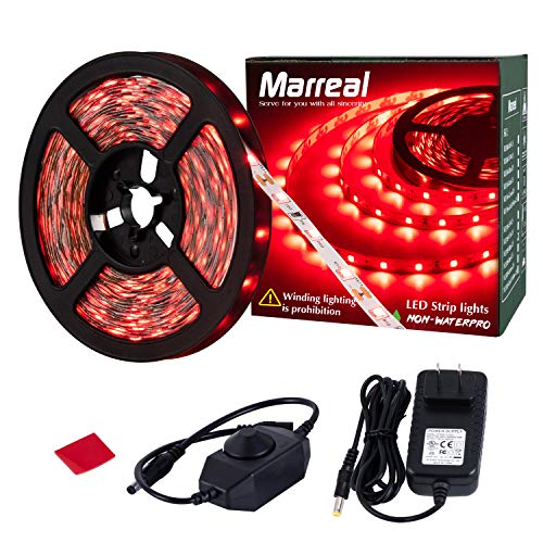 Best Top 10 Best red led lights Available in 2023 Best List Product