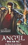  ANGEL Nach dem Fall, Bd. 1: Die Hölle von Los Angeles!