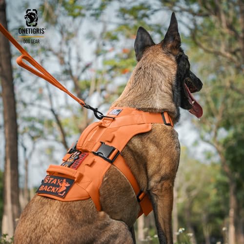 OneTigris Hundegeschirr, T-Bone Taktisches Geschirr mit 2 Griff Ausbruchsicher Einstellbar Brustgeschirr für Hunde Jagd Wandern Trainierung Spaziergang Outdoor-Aktivitäten (Orange, M)