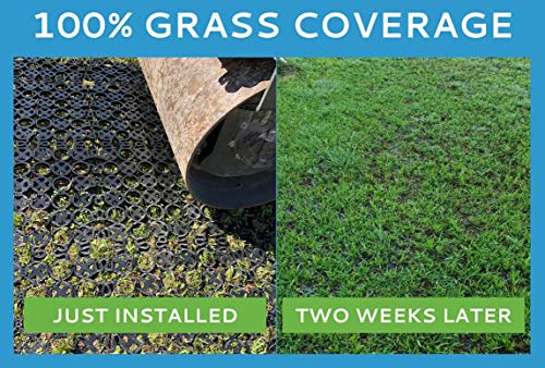 Image of TRUEGRID | Root Grass Pavers | Designed as Outdoor Pavers for the Patio, Driveway, Walkways, Shed Bases, DIY Projects | 120,000 lb Load Class | Pack of 18 (72 Sq. Ft.)