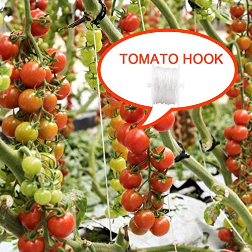 Fofetbfo 20 PCS Tomato Trellis Roller Hooks with 15 M Rope Tomato Support Hooks Trellis Flower Vine Twine Crop Trellis Kit Plant Roller Hook for Tomato Vine Vegetables - Image 4