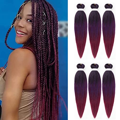 Ombre Pre-stretched Braiding Hair Easy Braid Texture Hair 26 Pouces 6 Packs Silky Color Blend Braid Extensions de Cheveux Professionnelle Sans Démangeaisons Fibre Synthétique(1B/Purple/900) Cover