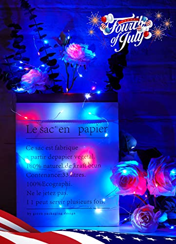 Image of Brightown 4th of July Decor Patriotic Fairy Lights, 7 FT. Silver Wire Red White Blue String Lights, Firefly Starry Moon Lights, Micro LED Mini Fairy Lights for Jars DIY Picture Wedding
