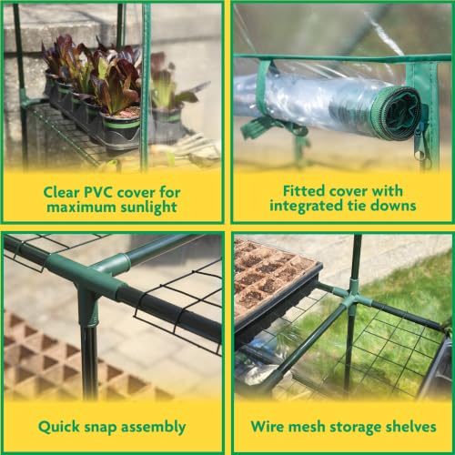Miracle-Gro Walk-in Greenhouse, Removable Shelves, Clear, 4'8" Square - image 6