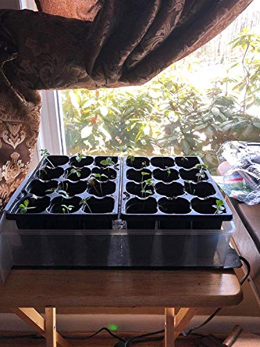 HYDGOOHO Seedling Heat Mat 2-Pack Heating Mat Hydroponic Heating Pad Waterproof for Seed Germination Cloning and Plant Propagation (S)