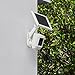 Ring Wall Mount for Cameras and Solar Panels, Black