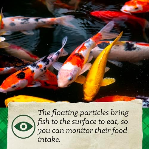 Nutrena Nature's Canvas Koi Fish Food, Extruded, 20 lbs