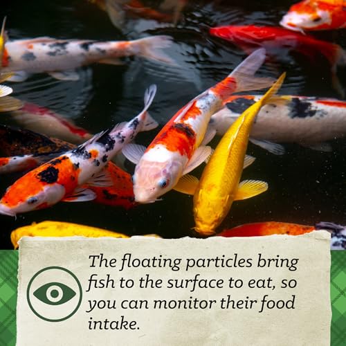 Nutrena Nature's Canvas Koi Fish Food, Extruded, 20 lbs