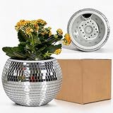 boule disco plante,vase disco,vase boule disco,pot fleur disco,pot disco,pot boule disco,cache pot disco,pot plante disco,qiumyanlod pot de fleur disco,boule a facette vase,boule a facette pot,boule disco pot de fleur,disco ball planter,boule facette pot de fleur,pot de fleur boule disco,disco cache pot,pot de fleur boule a facette,pot de fleur disco,boule disco pot,boule disco plante vase,boule plante disco,pot a fleur boule a facette,boule disco vase,pot crayon disco,pot de fleurs disco ball,qiumyanlod vase boule disco,disco vase,vase fleur mosaique miroir,plante boule disco,boule disco pot de fleurs,cache pot boule disco,disco plante suspendue,boule a facette doree vase