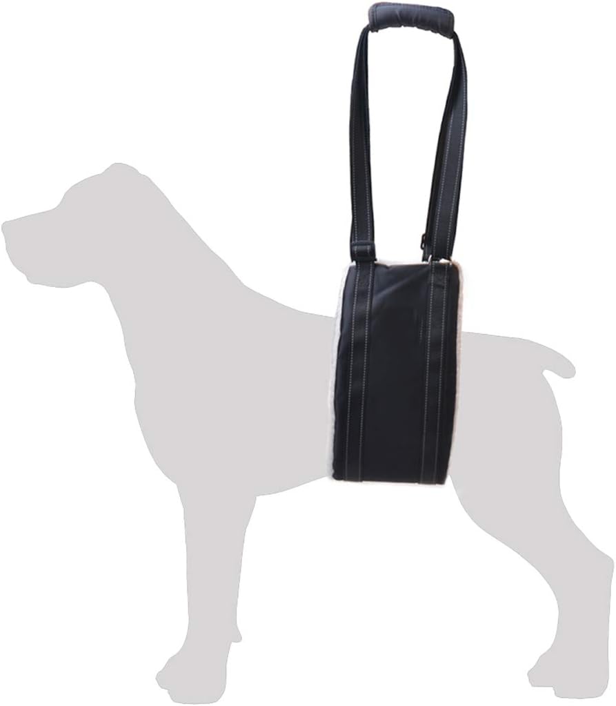 canine sling