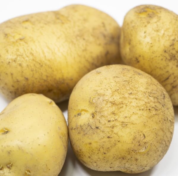 Amazon.co.jp: ジャガイモ・ながさき黄金 種芋 500g L〜Sサイズ : DIY