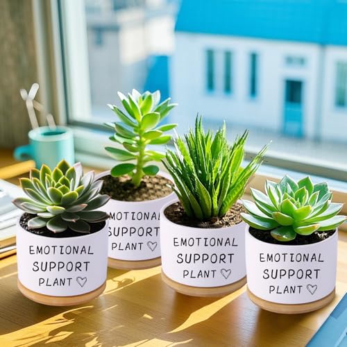 Haooxinwei Funny planters for Indoor Plants, for Planter Lover,Indoor Plants Garden Planters Succulent Pots, with Drainage Holes and Saucer(No Plants) (Emotional Support Plant) — view 5