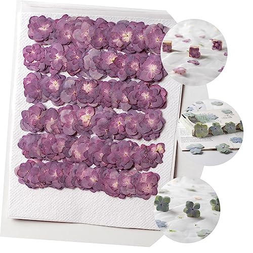 Kit flores secas para manualidades 30 piezas miniatura 7
