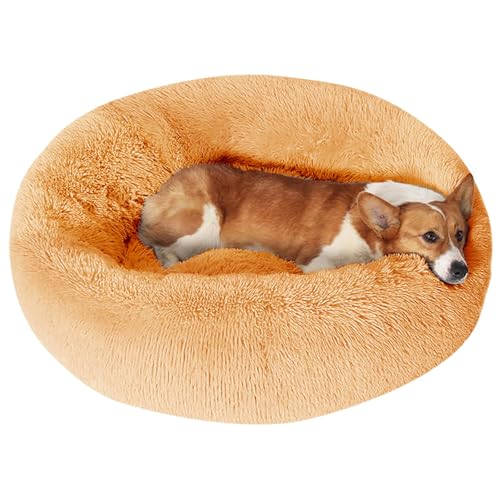 Image of JOLLYVOGUE Dog Bed, Calming Anti-Anxiety Large Dog Bed, Fluffy Donut Cushion for Medium and Large Pets (27 inch /30 inch /36 inch)