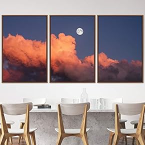 signwin 3 Piece Framed Canvas Wall Art Lunar...
