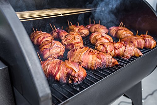 Camp Chef PG24XT Smoker Grill - Image 2