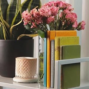 B&T Collection Clear Acrylic Book Vase for Flowers w/Inspirational Message – Modern Room Decor: Clean Girl Aesthetic Vase – Book Vase for Neutral Decor – Cute Housewarming Gift BT Collection Clear Acrylic Book Vase for Flowers wInspirational Message–Modern Room Decor Clean Girl Aesthetic Vase–Book Vase for Neutral Decor–Cute Housewarming Gift