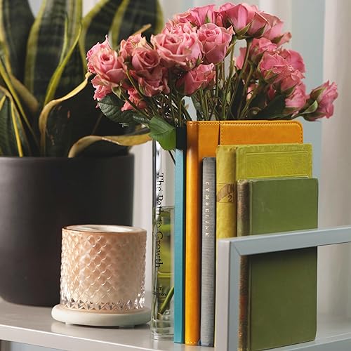 BT-Collection-Clear-Acrylic-Book-Vase-for-Flowers-wInspirational-Message–Modern-Room-Decor-Clean-Girl-Aesthetic-Vase–Book-Vase-for-Neutral-Decor–Cute-Housewarming-Gift BT Collection Clear Acrylic Book Vase for Flowers wInspirational Message–Modern Room Decor Clean Girl Aesthetic Vase–Book Vase for Neutral Decor–Cute Housewarming Gift