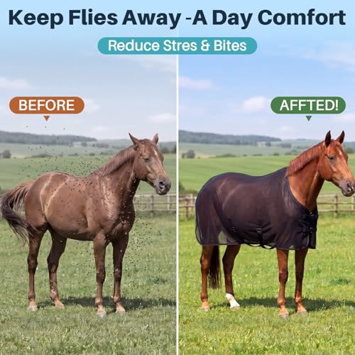 Image of Breathable Mesh Horse Fly Sheet for Summer, Size 72 Black Lightweight Cover