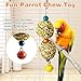 PINVNBY 3 PCS Bird Treats Natural Bird Crunch Treats Grain Mixed Cockatiel Snacks Hanging Parrot Chewing Toy for Parakeet Conure Lovebird Budgie Finch Canary