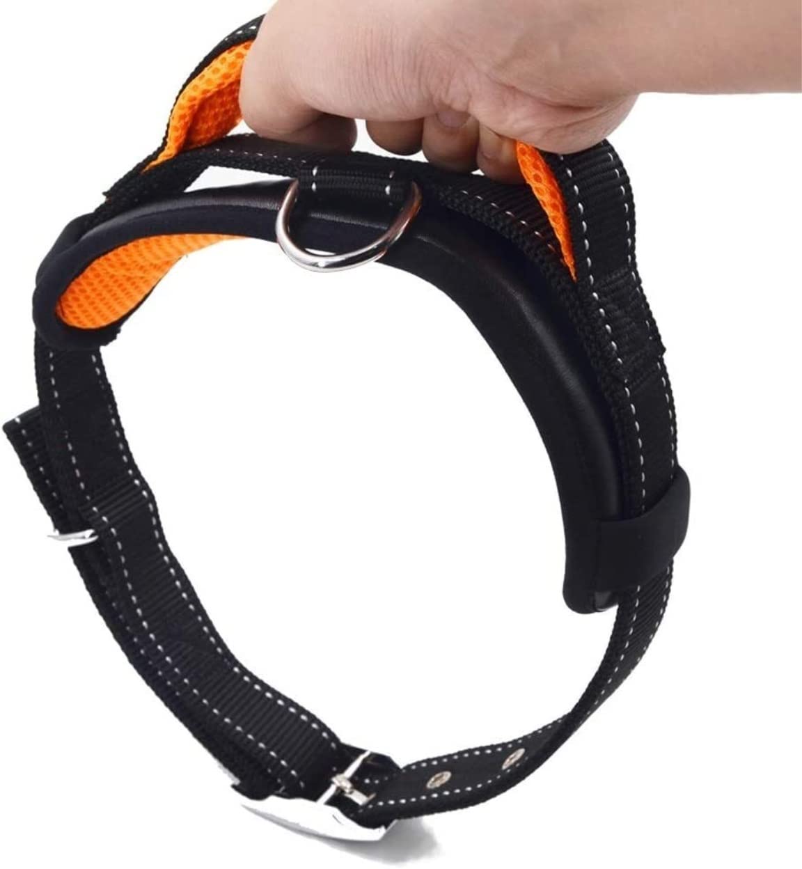 Correa Perro Correr Collar De Nailon para Perros Y Mascotas, Correas Entrenamiento Ajustables, Collares Seguridad para Pequeños Medianos Antideslizantes Reforzada(Rot,2.5cm*120cm)