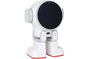 Rux AI Humanoid Robot, Remote Monitoring Robot with A55 CPU, 4GB RAM, 32GB ROM