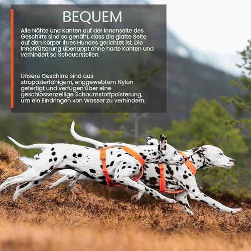 Non-stop dogwear Line Harness 5.0, Gepolstertes Hundegeschirr für kleine, mittlere und große Hunde, gemacht fürs Wandern, Sport und den aktiven Alltag, Größe 6