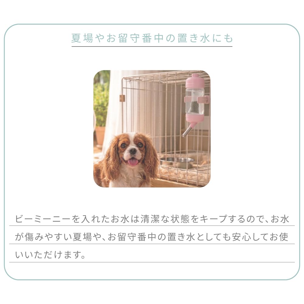 Amazon.co.jp: 1 x Therapy Bee Mee Nee 25g : Pet Supplies