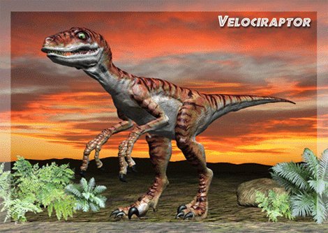 3D Motion Post Card - Velociraptor - Dinosaur