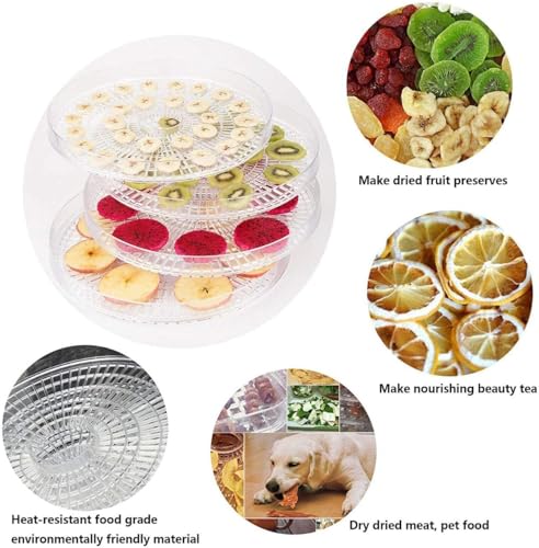Image of 5-Tray Electric Food Dehydrator Machine with Adjustable Thermostat (35-70C) - Stackable Food Dryer for Fruits, Vegetables, Herbs, Meat and Beef - For Healthy Home Kitchen Use