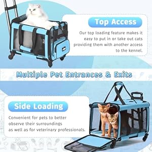 Airline-Approved-Pet-Carrier-with-Wheels-Foldable-Rolling-Cat-Dog-Carrier-with-Wheels-Telescopic-Handle-for-Outdoor-Vet-Visits-Cat-Carrier-Travel-Bag-for-Cat-Dog-Under-20-lbs-Blue - Cucciolini Doodles   Airline-Approved-Pet-Carrier-with-Wheels-Foldable-Rolling-Cat-Dog-Carrier-with-Wheels-Telescopic-Handle-for-Outdoor-Vet-Visits-Cat-Carrier-Travel-Bag-for-Cat-Dog-Under-20-lbs-Blue