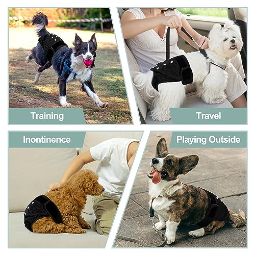 Image of Washable Female Dog Diapers - Premium Reusable Diapers for Doggie in Heat - Highly Absorbent Dog Diapers Female for Pet Incontinence with Adjustable Snaps(Black, M)