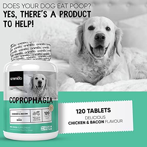 Coprophagia Deterrent for Dogs - 120 Chicken-flavour Dog Stool Repellent Tablets with Probiotic & Prebiotic - Helps Stop Puppy Eating Poop, Supports Digestion & Freshens Breath - Dog Breath Freshener - Image 3