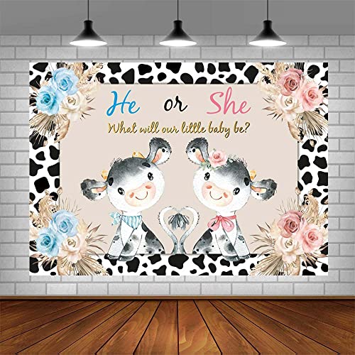 Aibiin 8X6Ft Holy Cow Gender Reveal Backdrop Boho Pink Blue Flowers Photography Background He Or She What Will Our Little Baby Be Gender Reveal Party Decorations Photo Props #TOP3