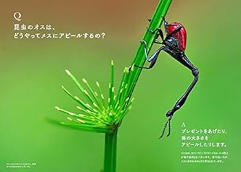 世界でいちばん素敵な昆虫の教室 (世界でいちばん素敵な教室