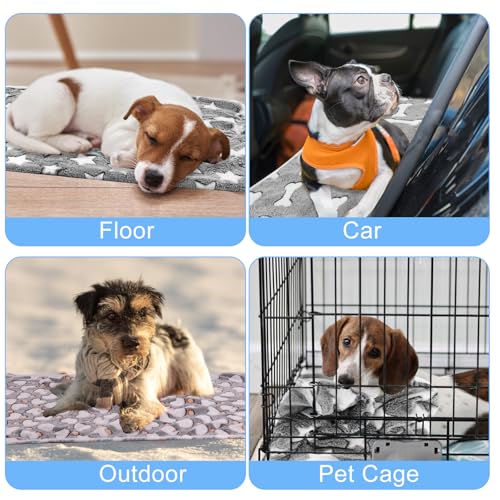 Neerow 3 Stück Hundedecke, 60 x 40 cm Katzendecke Sofa, Weich Fleece Haustier Decke Flauschig, Kuscheldecke Hunde Waschbar für Hunde, Katzen, Sofas, Autos, Betten, Transportbox