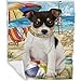 Pet Friendly Beach Rat Terrier Dog Blanket - Lightweight Super Soft Cozy and Durable Bed Blanket - Animal Theme Fuzzy Blanket for Sofa Bed Couch BLNKT56571 (30x40 Fleece)
