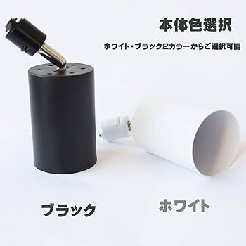 【M3030-131-100】ダクトレール スポットライト E26 12個セット Amazon | Zevnico ダクトレール スポットライト 2個セット