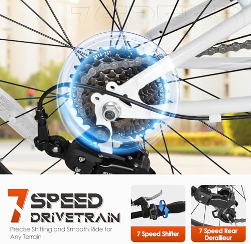 20 inch Folding Bike,7 Speed Lightweight City