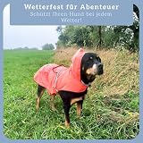 Bella & Balu Hunderegenmantel wasserdicht mit Kapuze und Reflektoren für sichere Gassigänge, Hundespielplatz und Urlaub (L, Orange)
