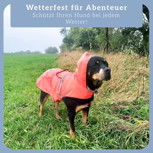 Bella & Balu Hunderegenmantel wasserdicht mit Kapuze und Reflektoren für sichere Gassigänge, Hundespielplatz und Urlaub (L, Orange)