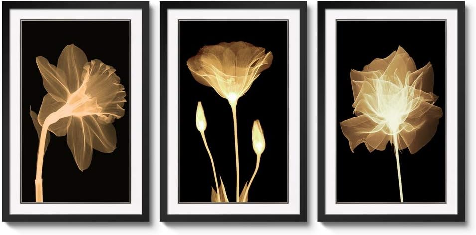 3 Panels Black Frames Giclee White Mat Artworks Black White and Gold Wall Art Canvas Prints Decor Framed Flowers Painting Poster Printed On Canvas Poppy Pictures for Home Decorations (A, L)