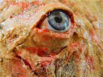 Dead Head Props Latex Flesh with Realistic Eye Prop