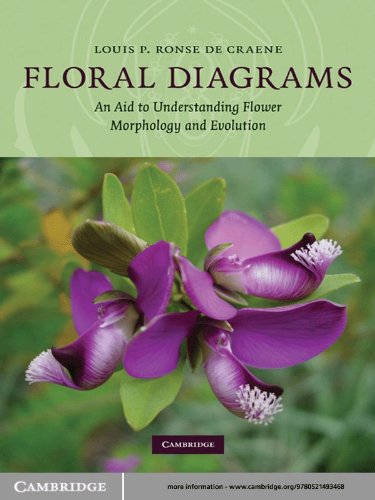 Floral Diagrams: An Aid to Understanding Flower Morphology and Evolution (English Edition)