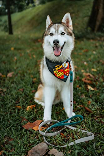 Image of That Dog In Tuxedo Tdit XDc Justice League Reversible Dog Bandana With Adjustable Dog Collar (Size Medium /Large, Black)